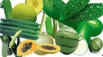 树獭吃瓜,一场与自然的甜蜜邂逅