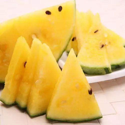 北美吃瓜在哪里,揭秘热门话题聚集地