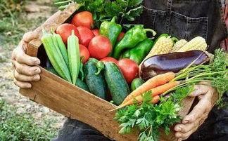 油管吃瓜关键词,热门关键词背后的故事与真相