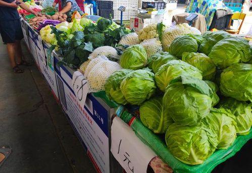 江苏大妈吃瓜,揭秘网络舆论背后的真相