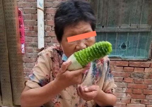 跟婆婆吃瓜,揭秘家庭和谐之道