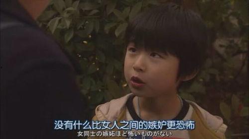 总裁夫人吃瓜群众,吃瓜群众的八卦盛宴