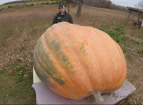 吃瓜吐渣,如何吐出瓜籽，品味真相