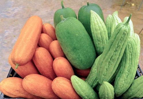 吃瓜抗癌,揭秘日常饮食中的抗癌秘密