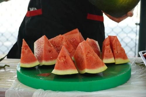 学校吃瓜实拍,揭秘校园里的那些“秘密”瞬间