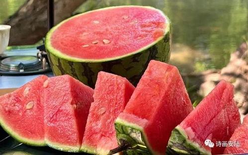 官庄吃瓜群众是谁,揭秘网络热议背后的真实故事