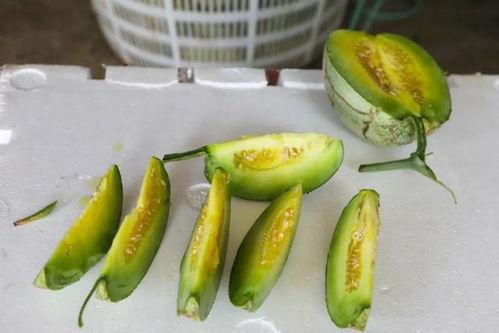 小夭吃玉瓜,探寻美味与传说的交织