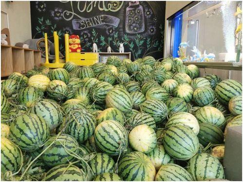 吃瓜 比速度,揭秘娱乐圈的“速度与激情”