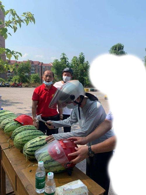 吃瓜事件柳州,揭秘背后真相与网络舆论的漩涡