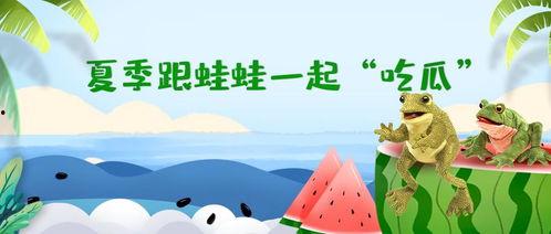 吃瓜的呱呱,揭秘娱乐圈的甜蜜与苦涩